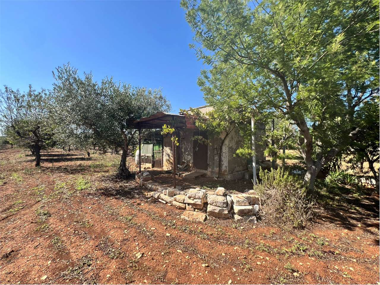 immagine annuncio 4 di 5