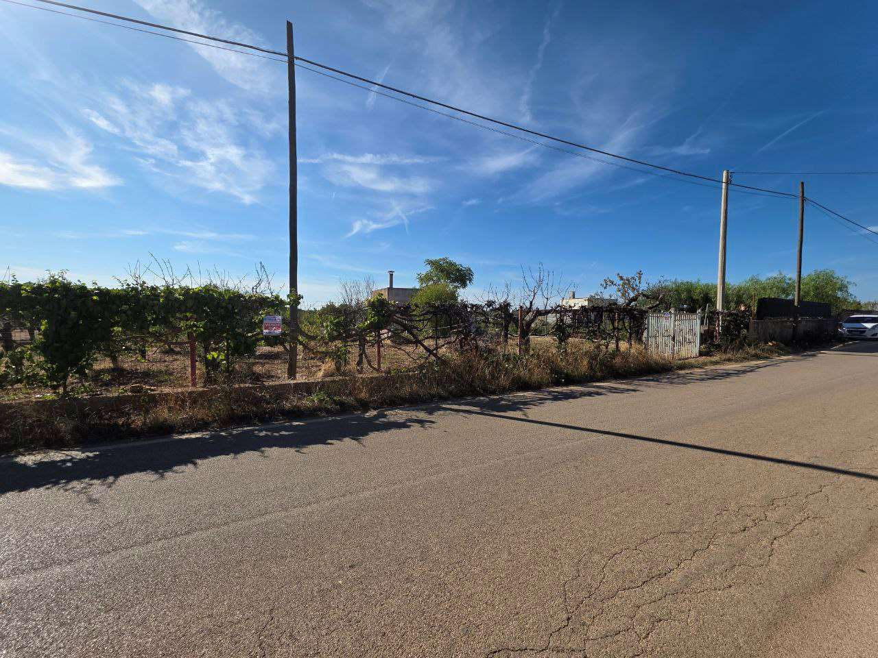 immagine annuncio 5 di 7