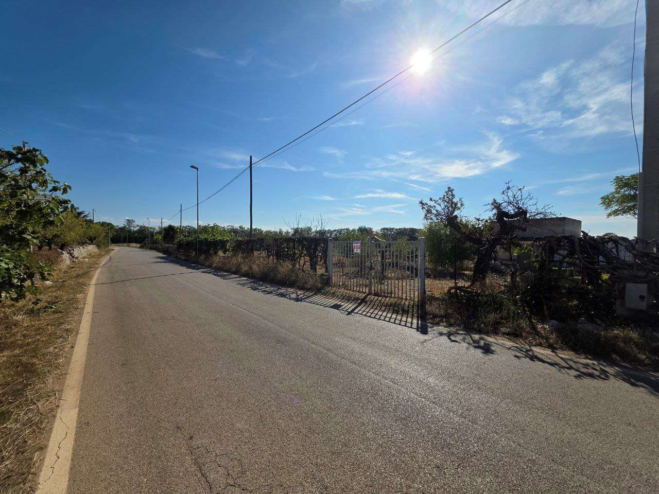 immagine annuncio 6 di 7