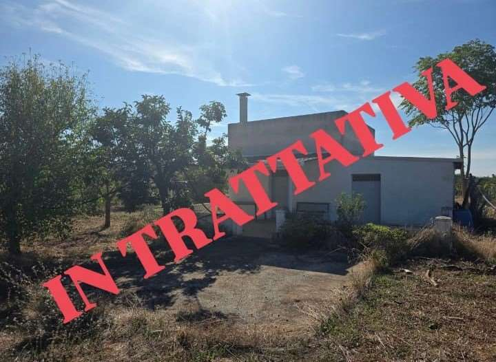 immagine annuncio 7 di 8