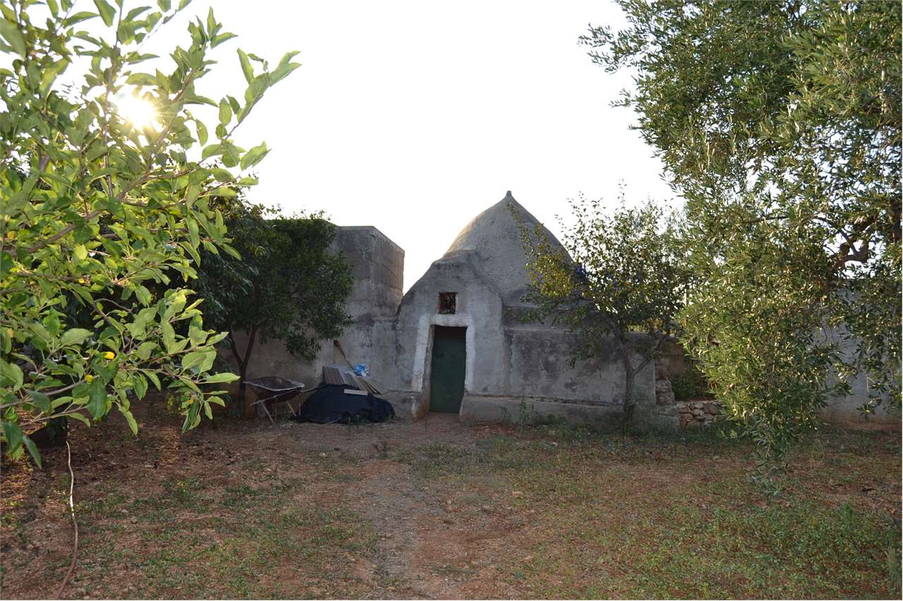 immagine annuncio 2 di 7