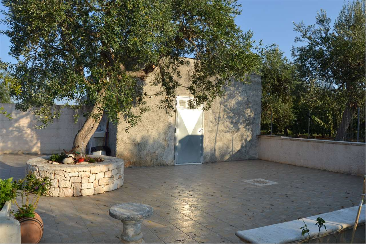 immagine annuncio 5 di 7