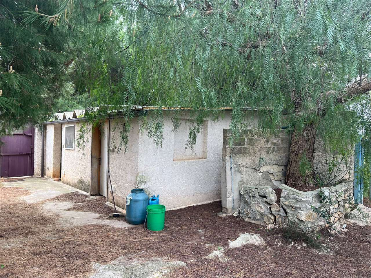 immagine annuncio 1 di 7