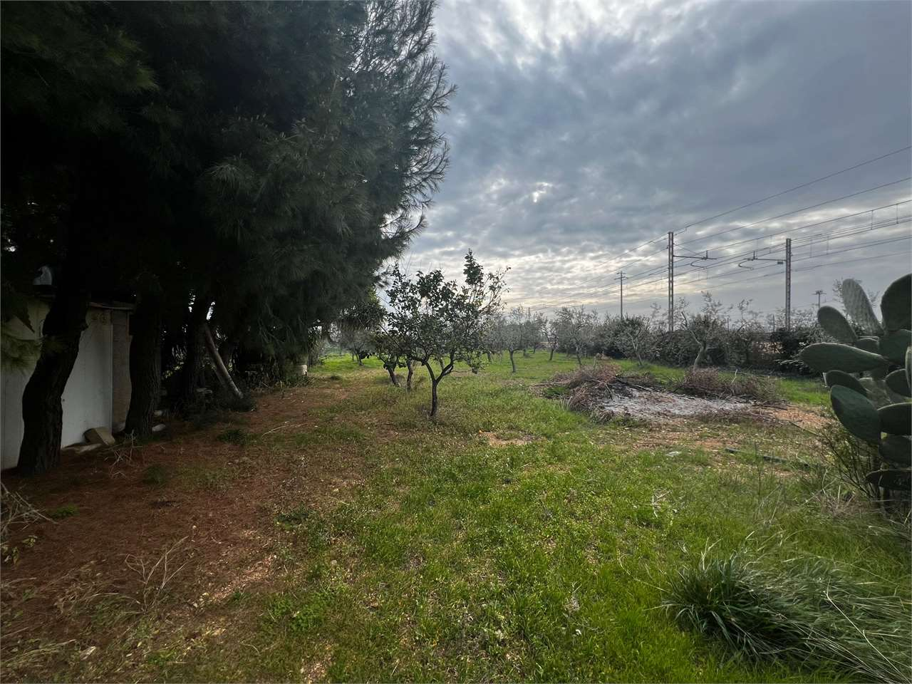 immagine annuncio 3 di 7