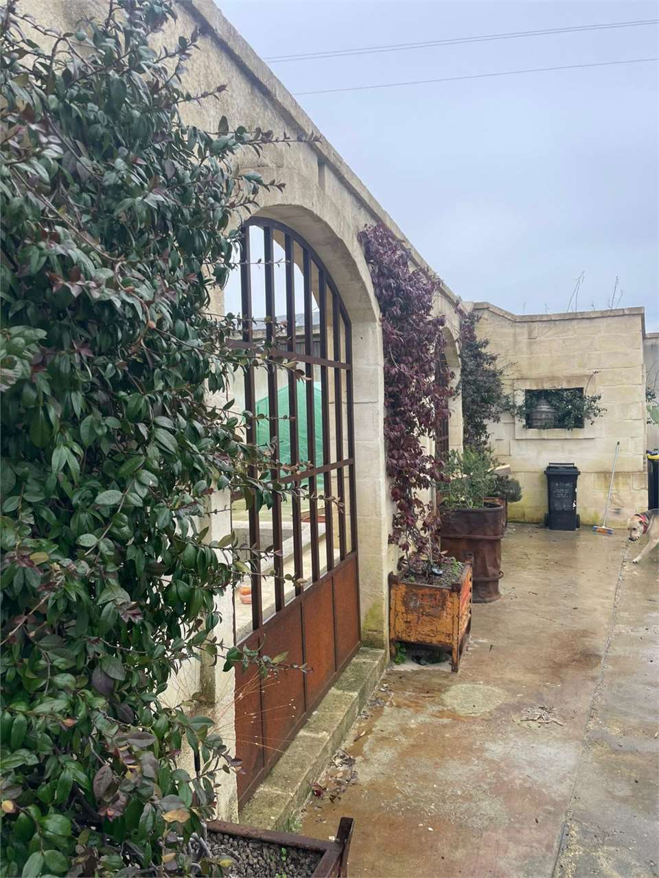 immagine annuncio 2 di 3