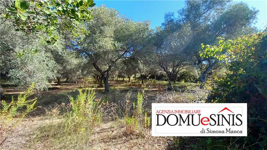 immagine annuncio 2 di 6