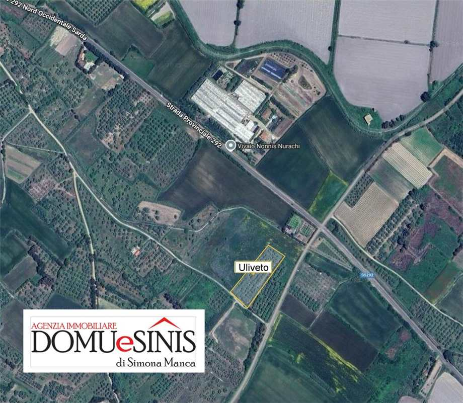 immagine annuncio 4 di 6