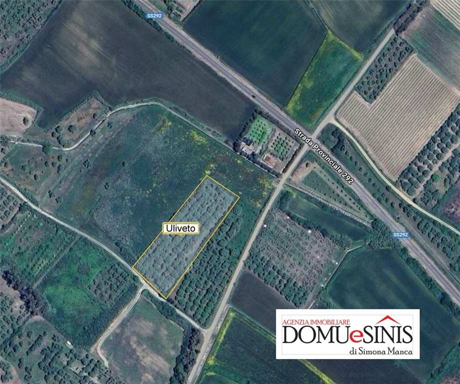 immagine annuncio 5 di 6