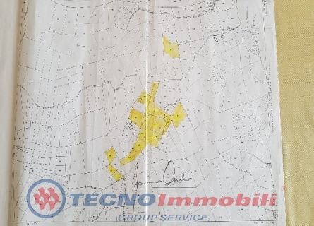 immagine annuncio 1 di 3