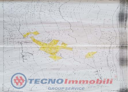 immagine annuncio 2 di 3
