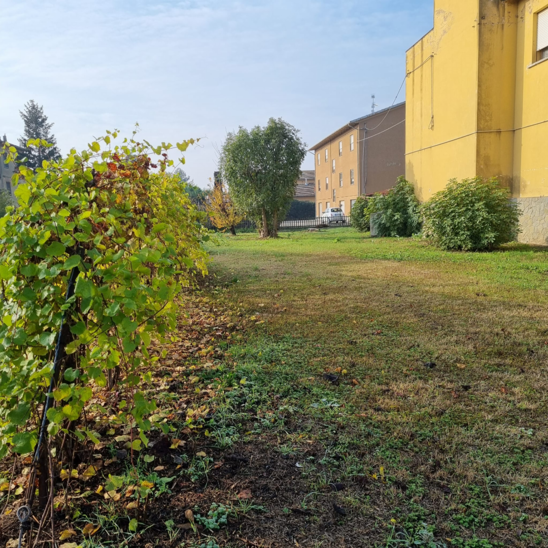 immagine annuncio 1 di 8