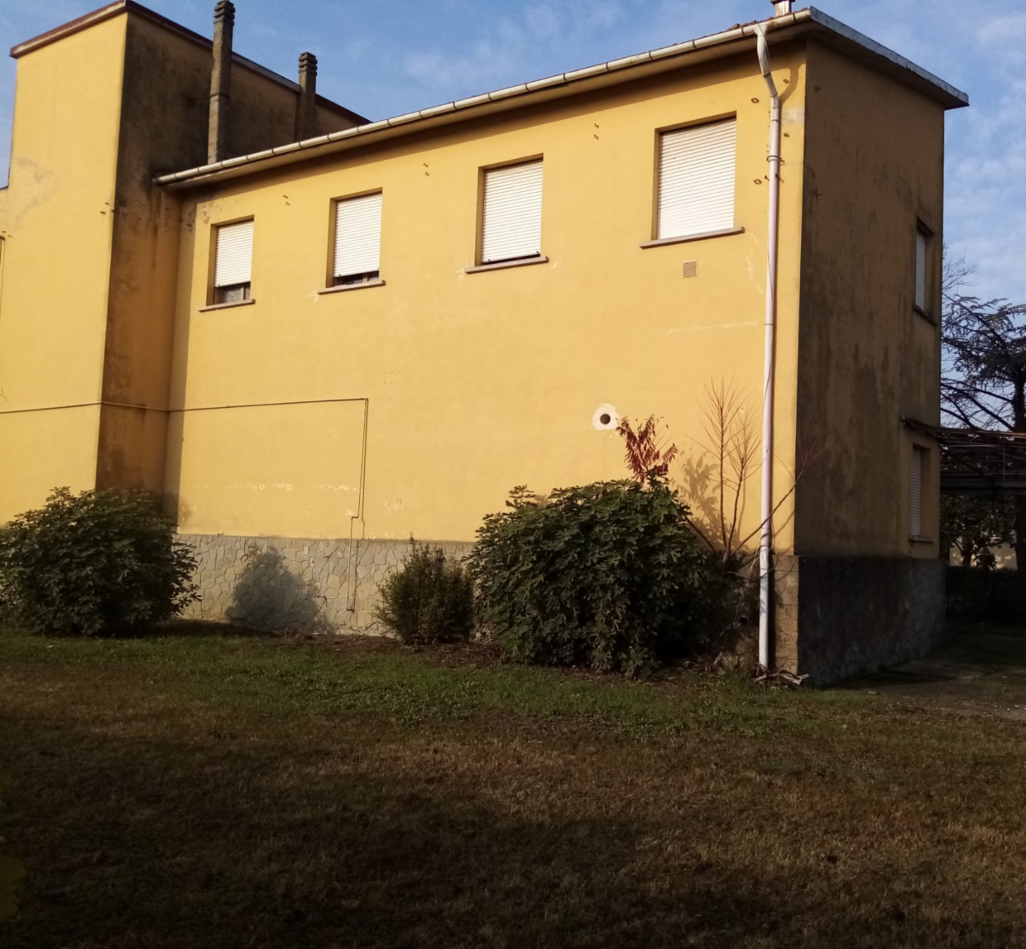 immagine annuncio 4 di 8