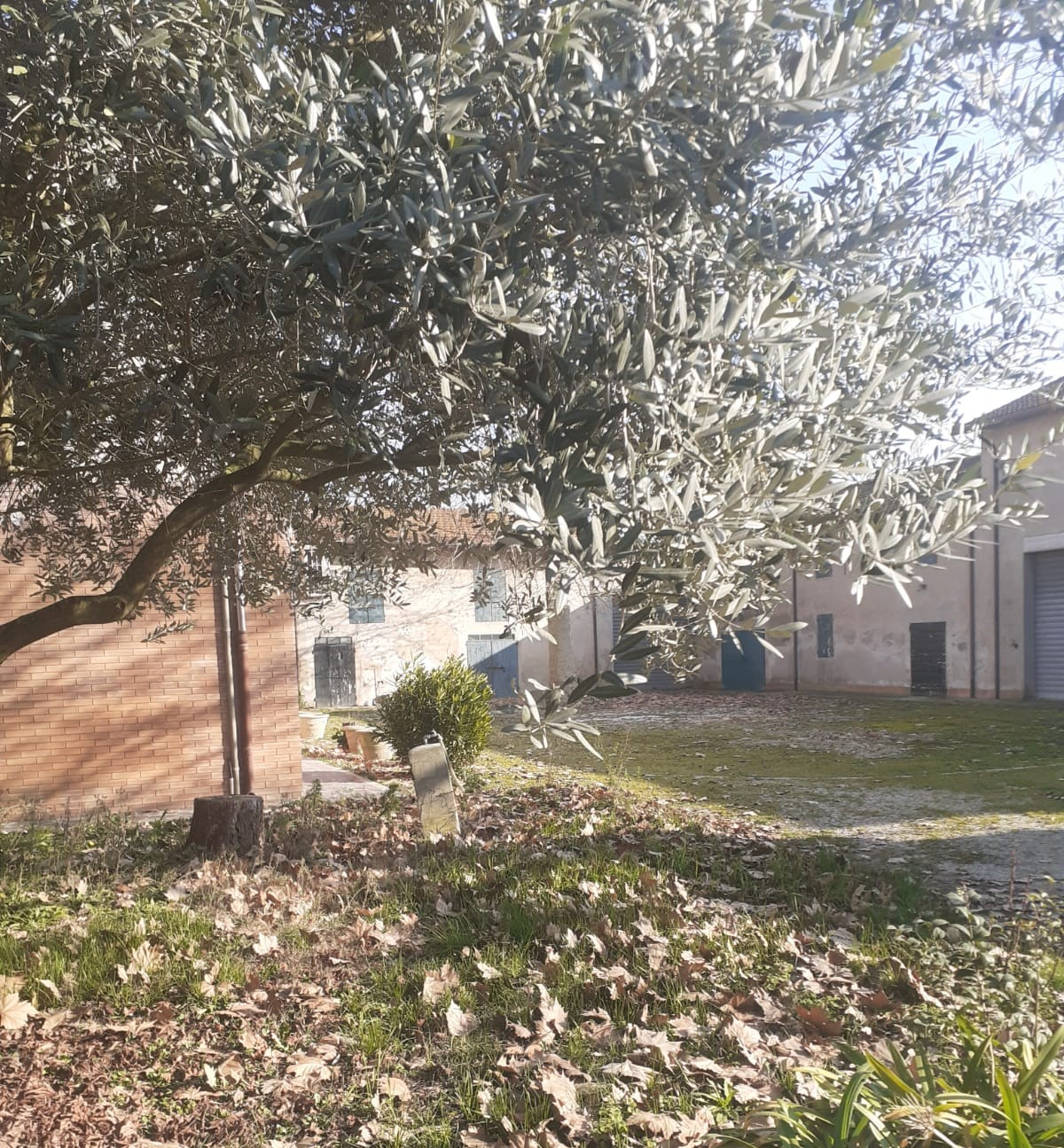 immagine annuncio 2 di 4