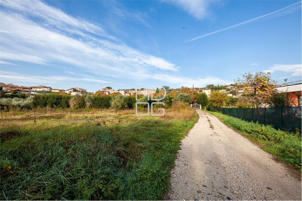 immagine annuncio 5 di 8