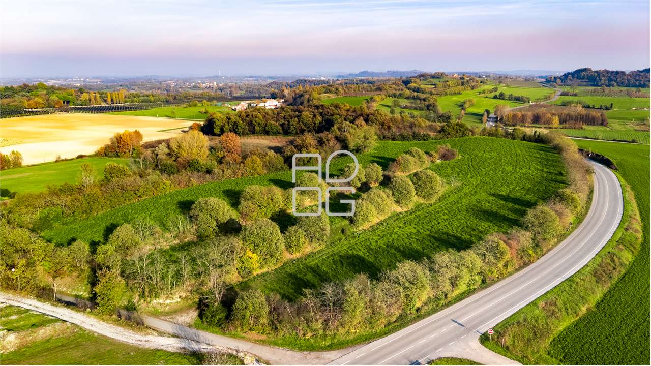 immagine annuncio 1 di 4