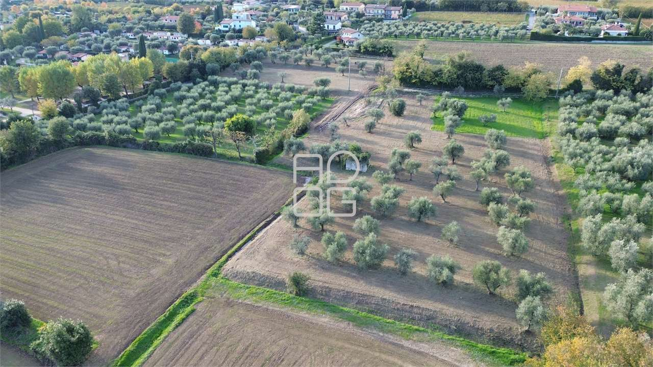 immagine annuncio 7 di 10