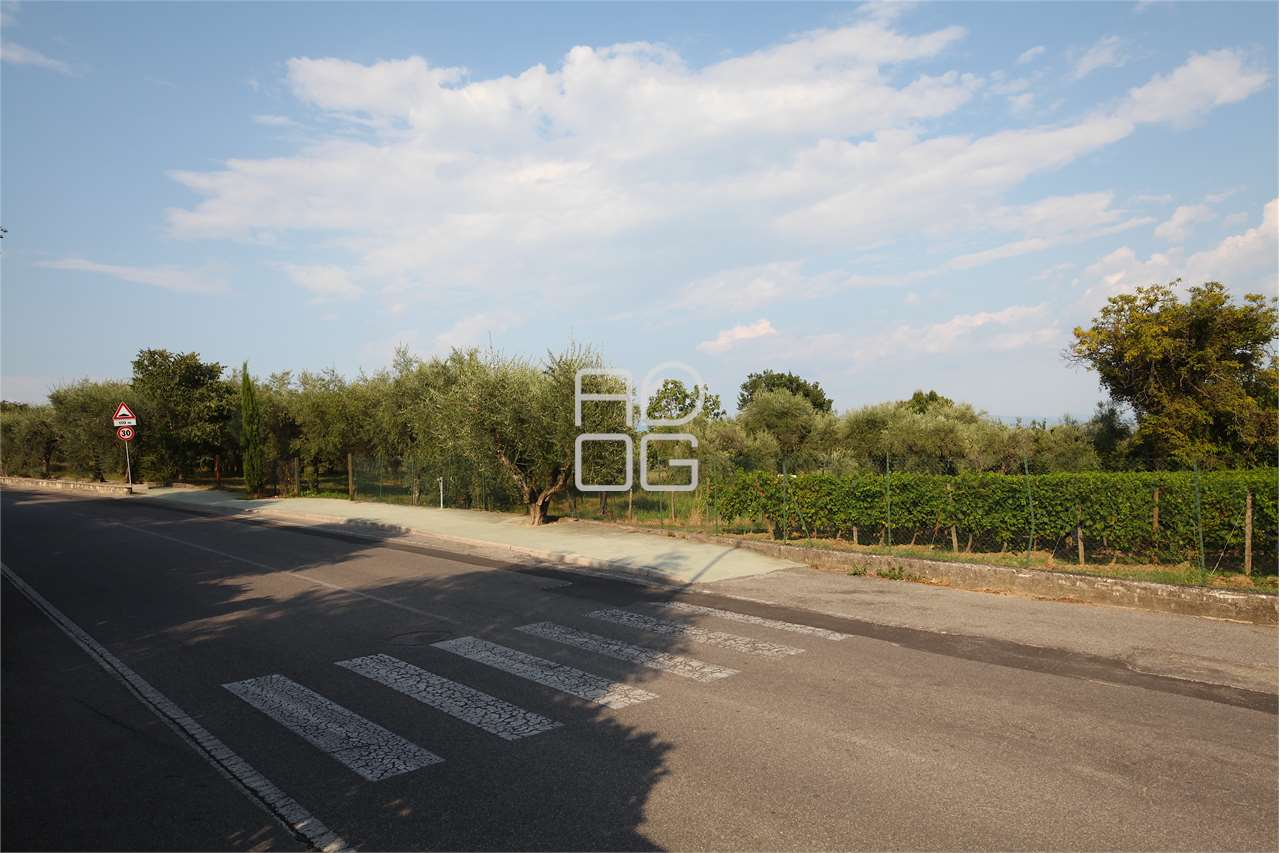 immagine annuncio 1 di 2