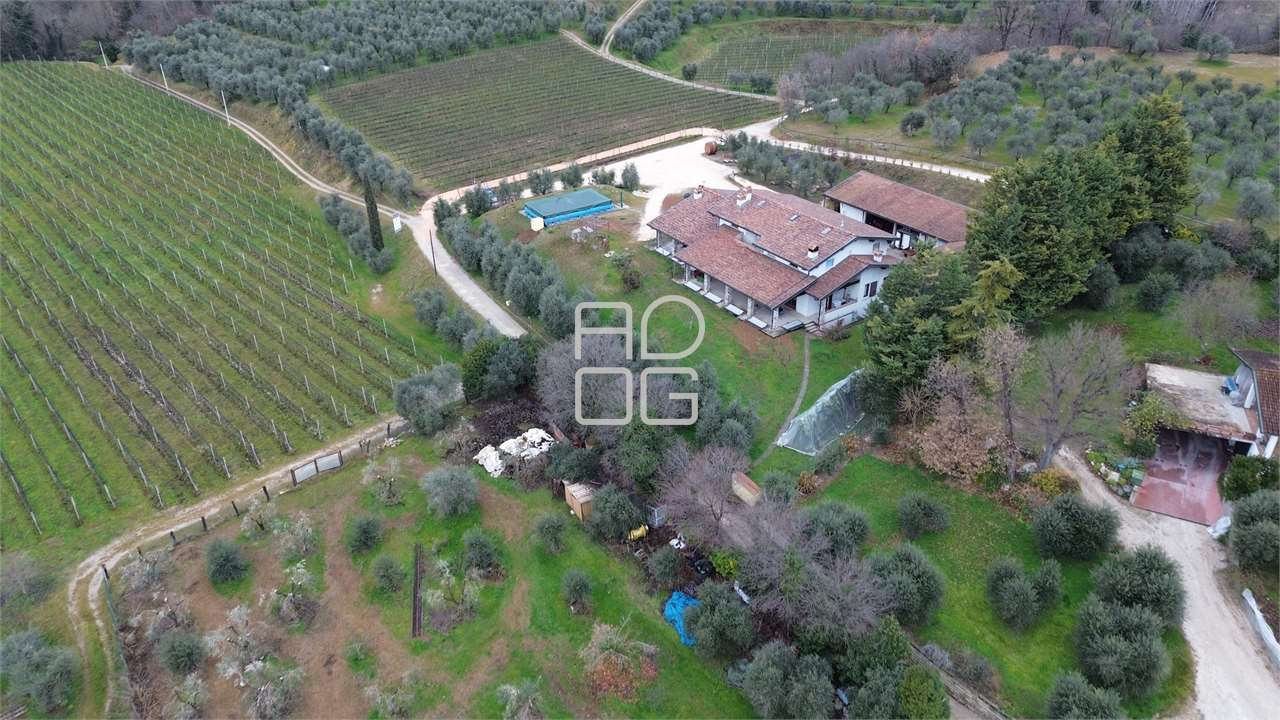 immagine annuncio 7 di 10