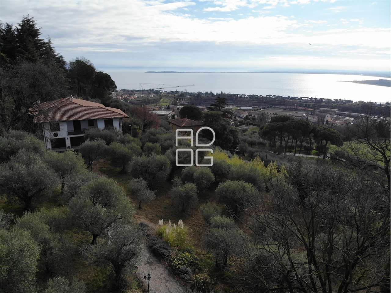 immagine annuncio 2 di 10