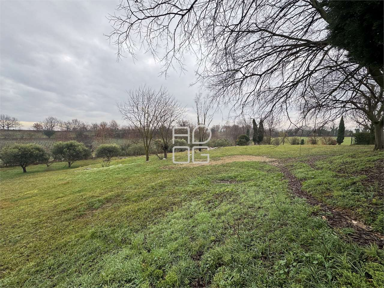 immagine annuncio 5 di 8