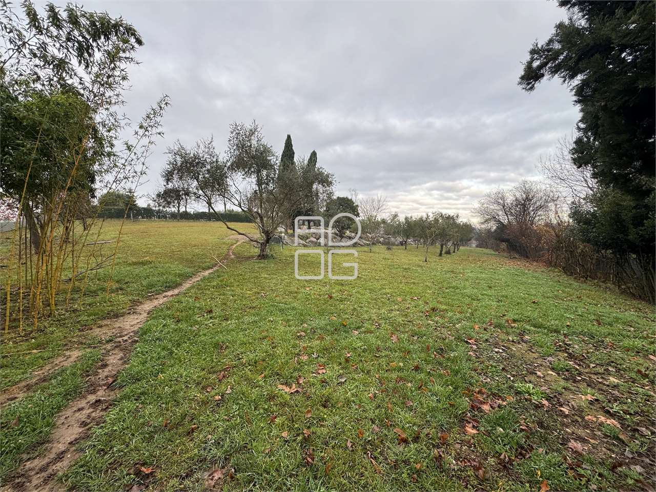 immagine annuncio 4 di 8