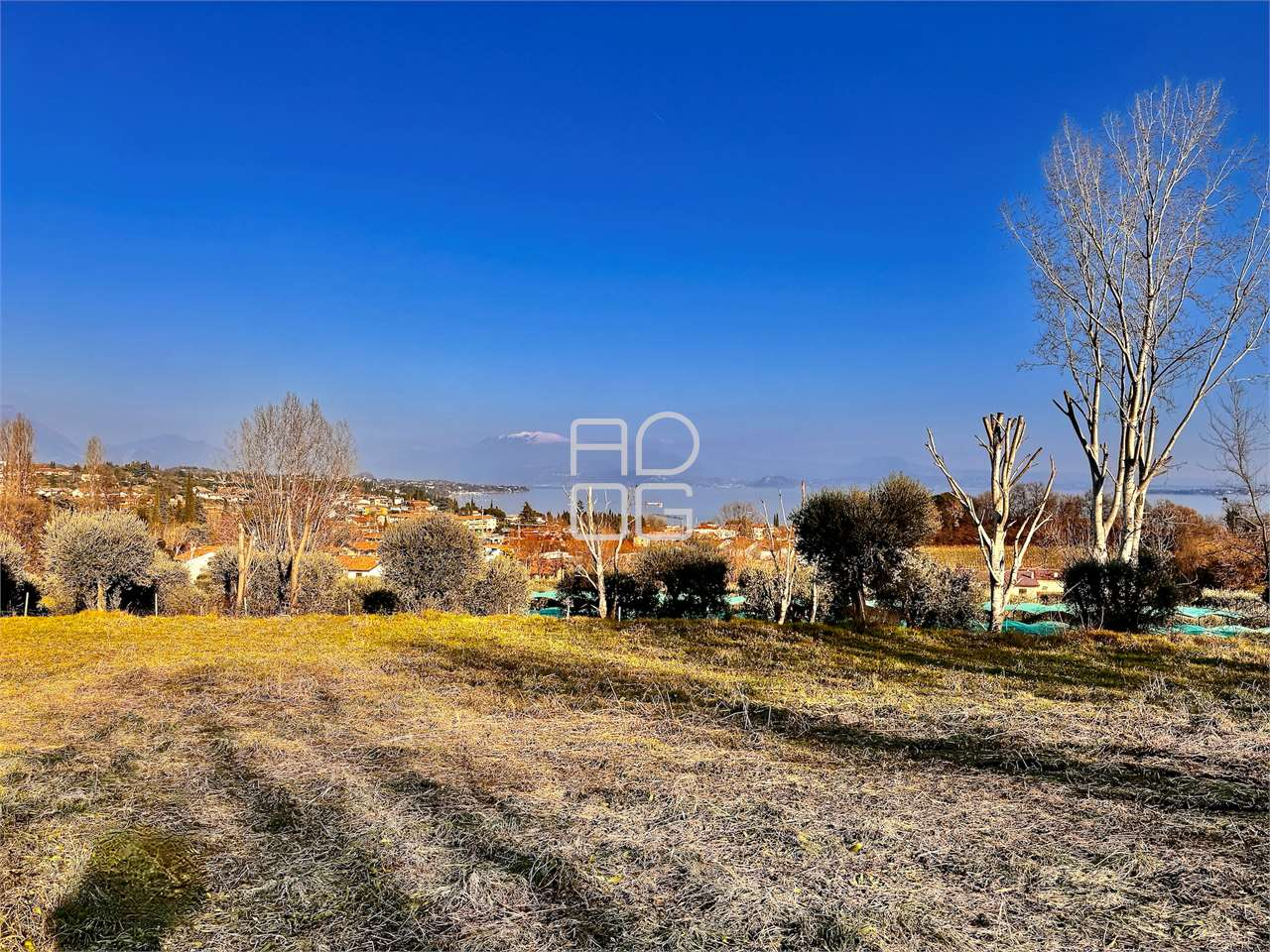 immagine annuncio 1 di 4