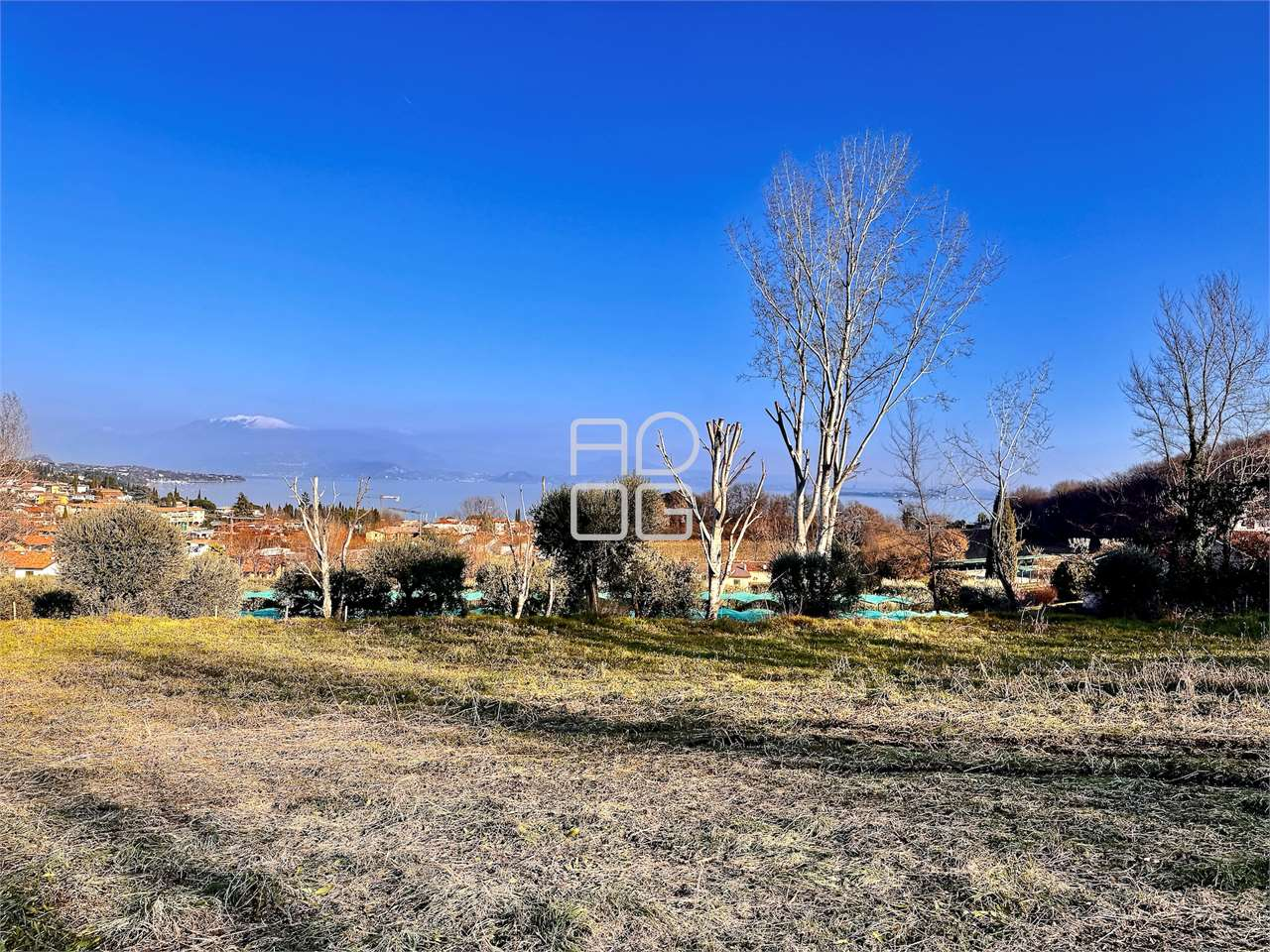 immagine annuncio 3 di 4