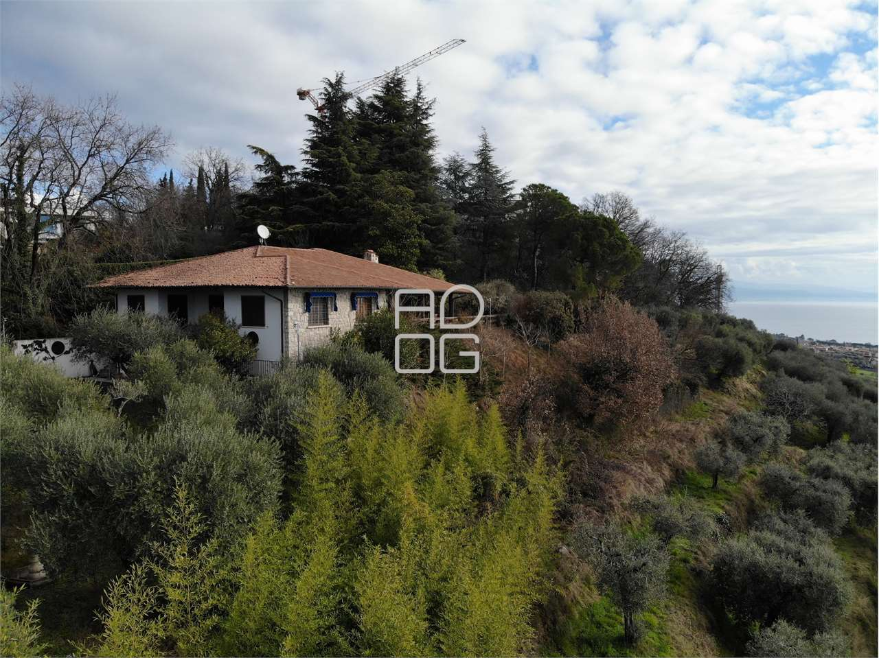 immagine annuncio 6 di 10