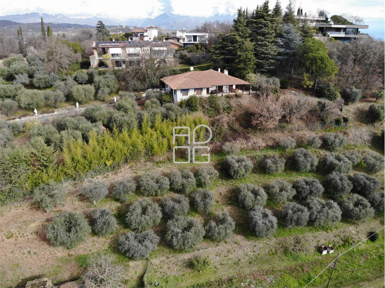 immagine annuncio 7 di 10