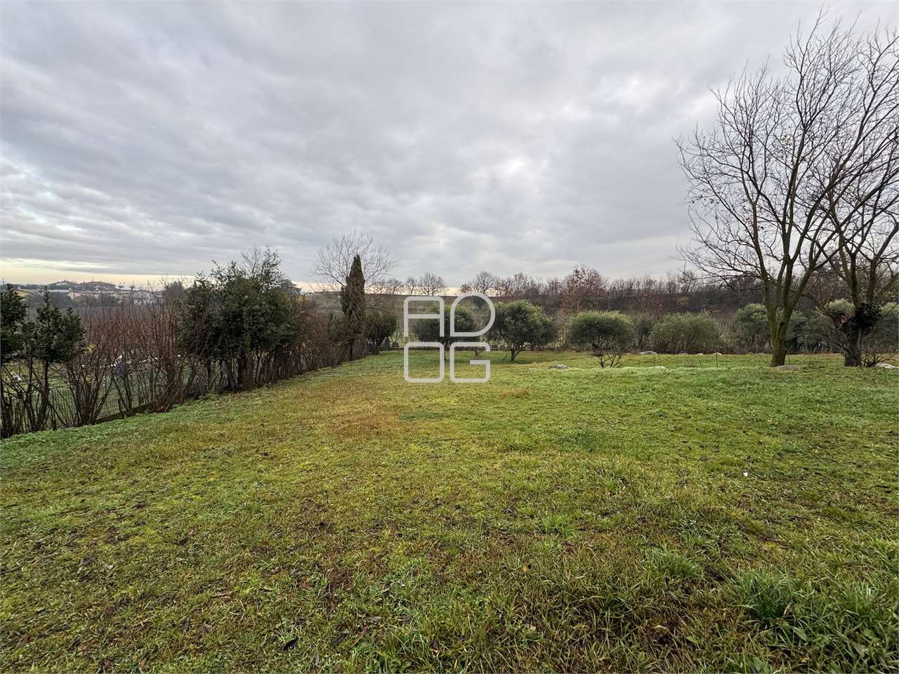 immagine annuncio 3 di 8