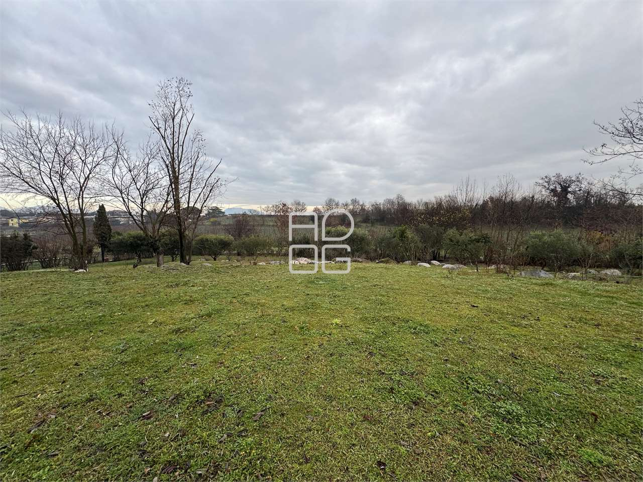 immagine annuncio 6 di 8