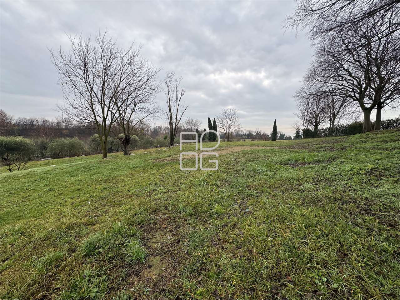 immagine annuncio 5 di 8