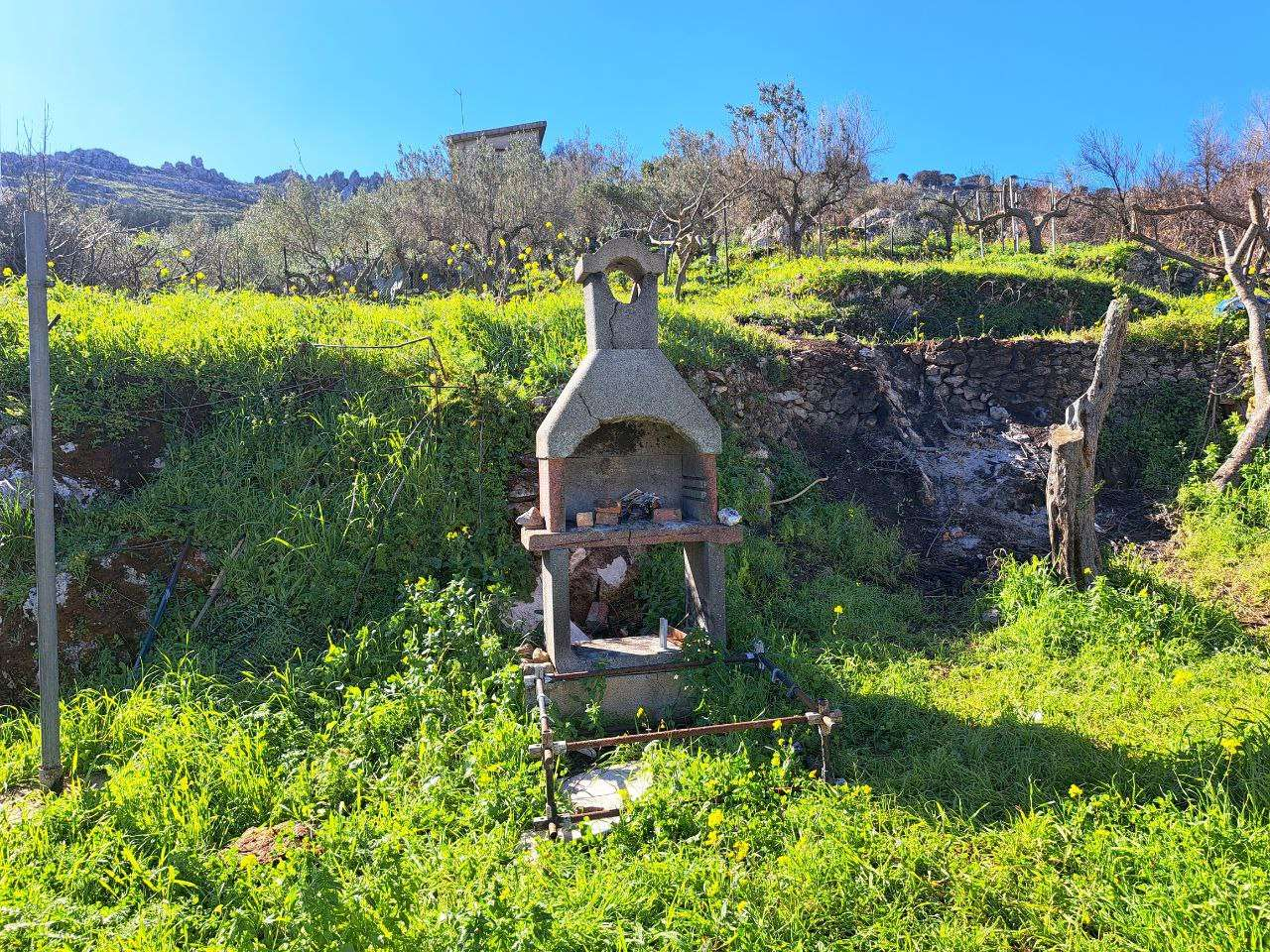 immagine annuncio 4 di 10