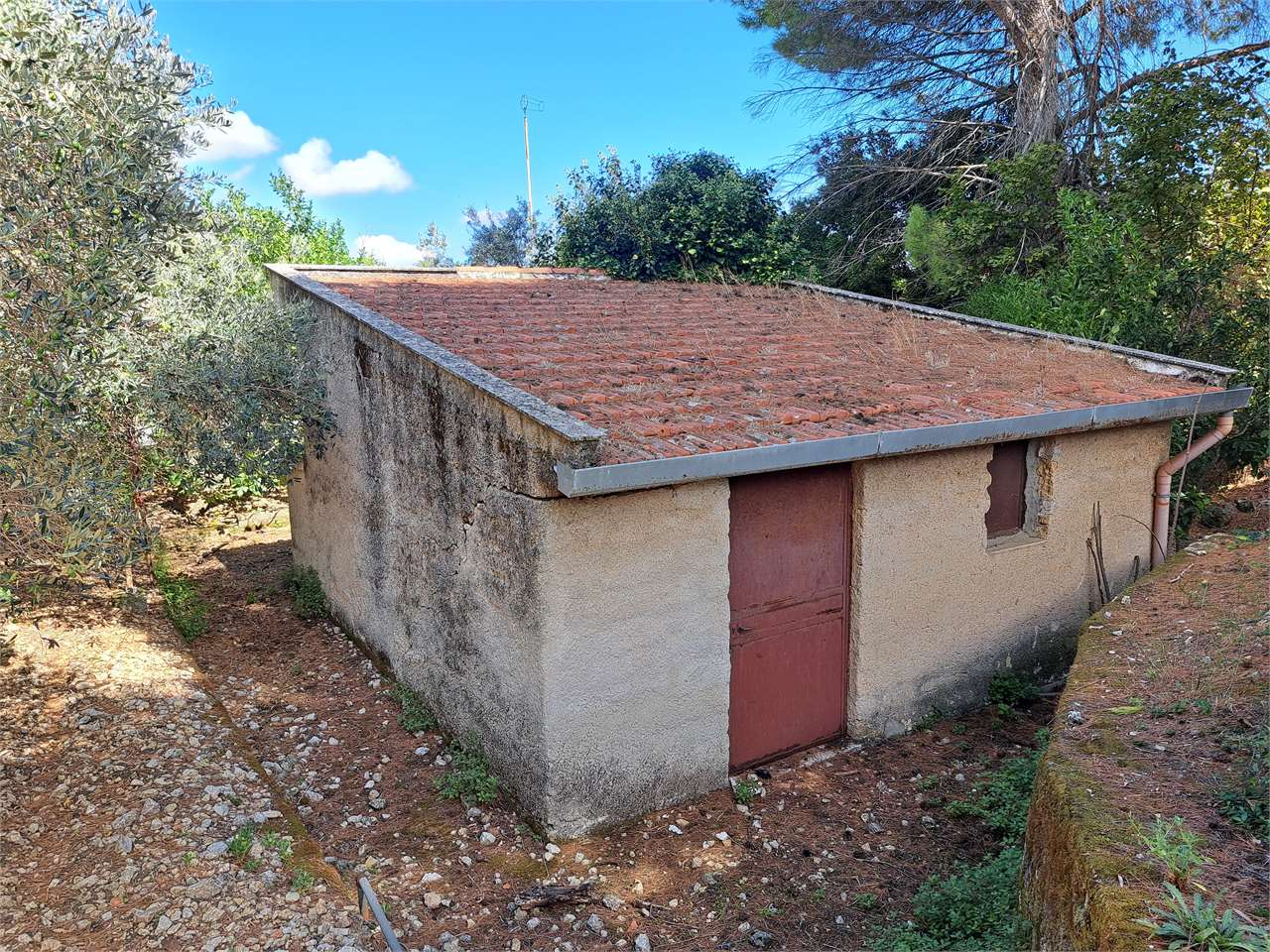 immagine annuncio 2 di 10