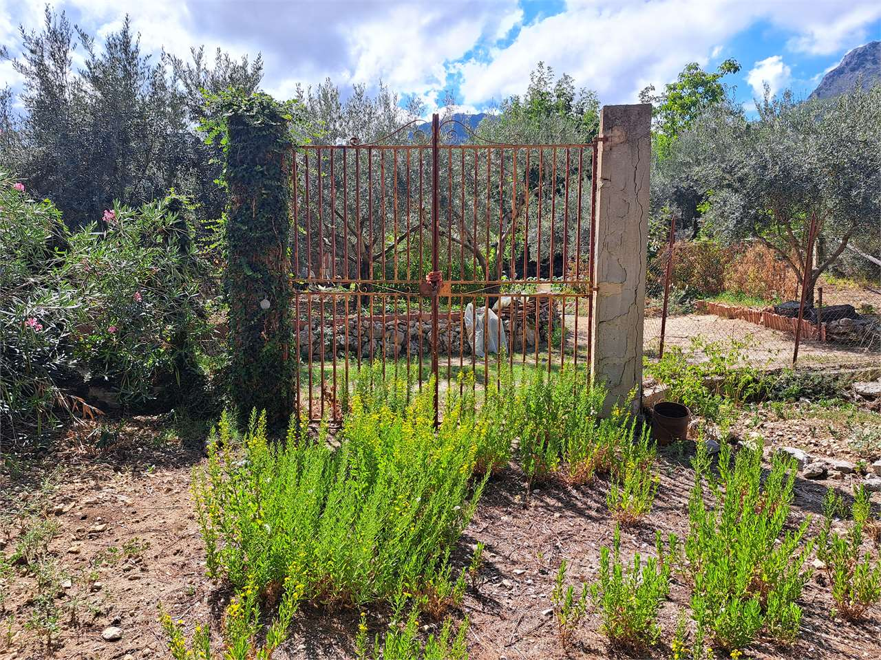 immagine annuncio 5 di 10