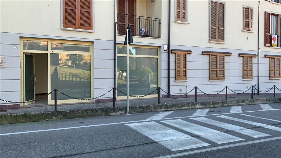 immagine annuncio 3 di 7