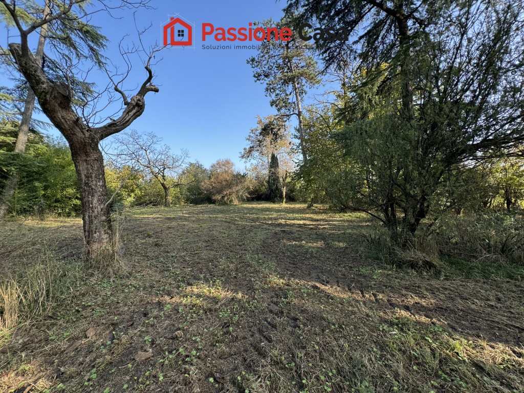 immagine annuncio 7 di 10