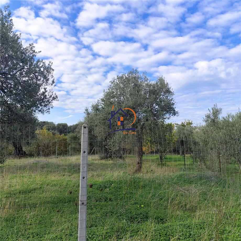 immagine annuncio 4 di 7