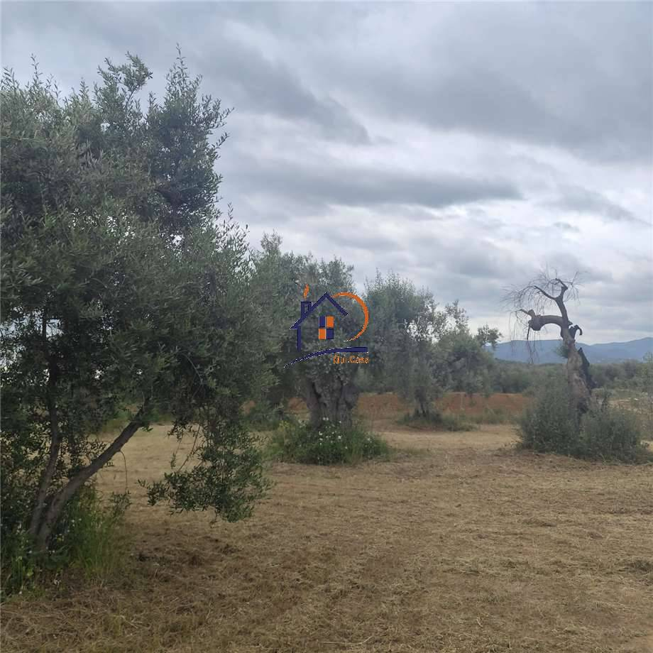 immagine annuncio 2 di 8