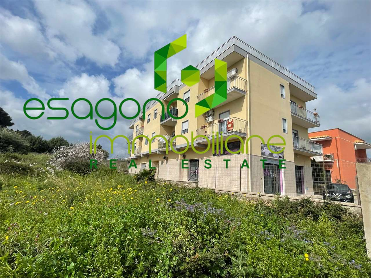 immagine annuncio 3 di 10