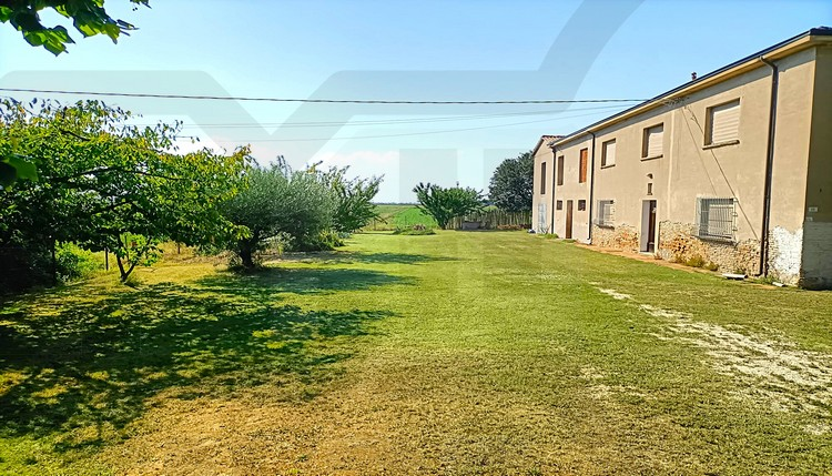 immagine annuncio 2 di 7