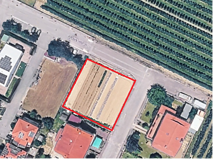 immagine annuncio 1 di 3