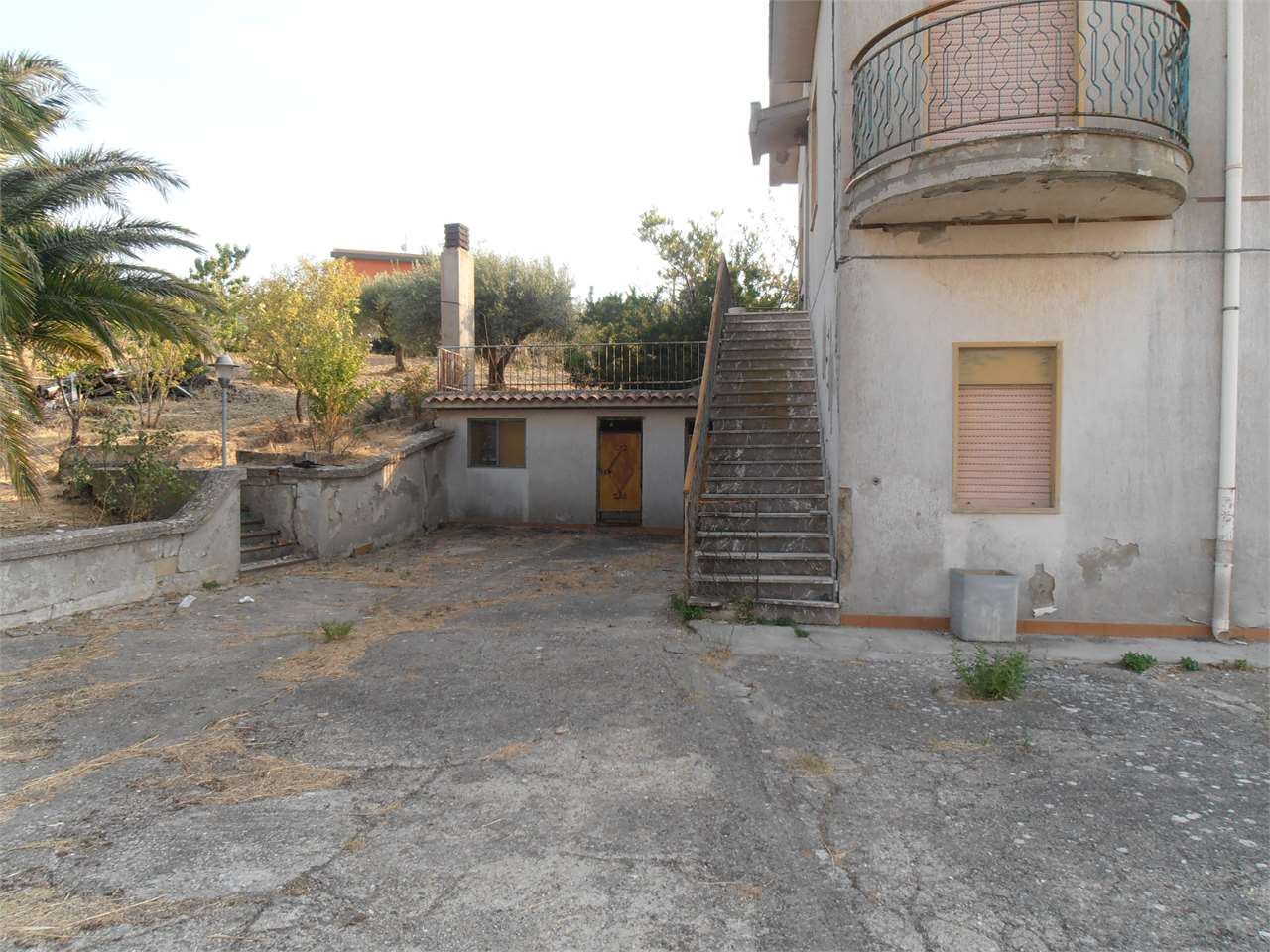 immagine annuncio 4 di 8