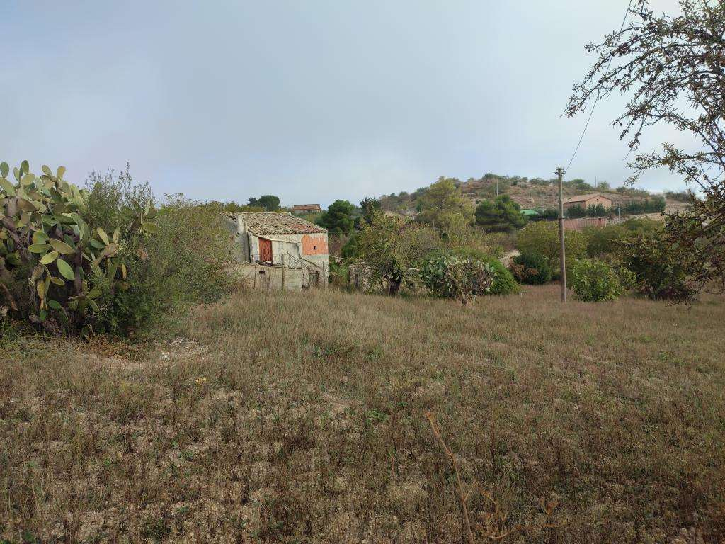 immagine annuncio 3 di 9