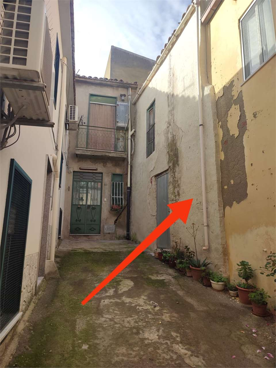 immagine annuncio 1 di 2