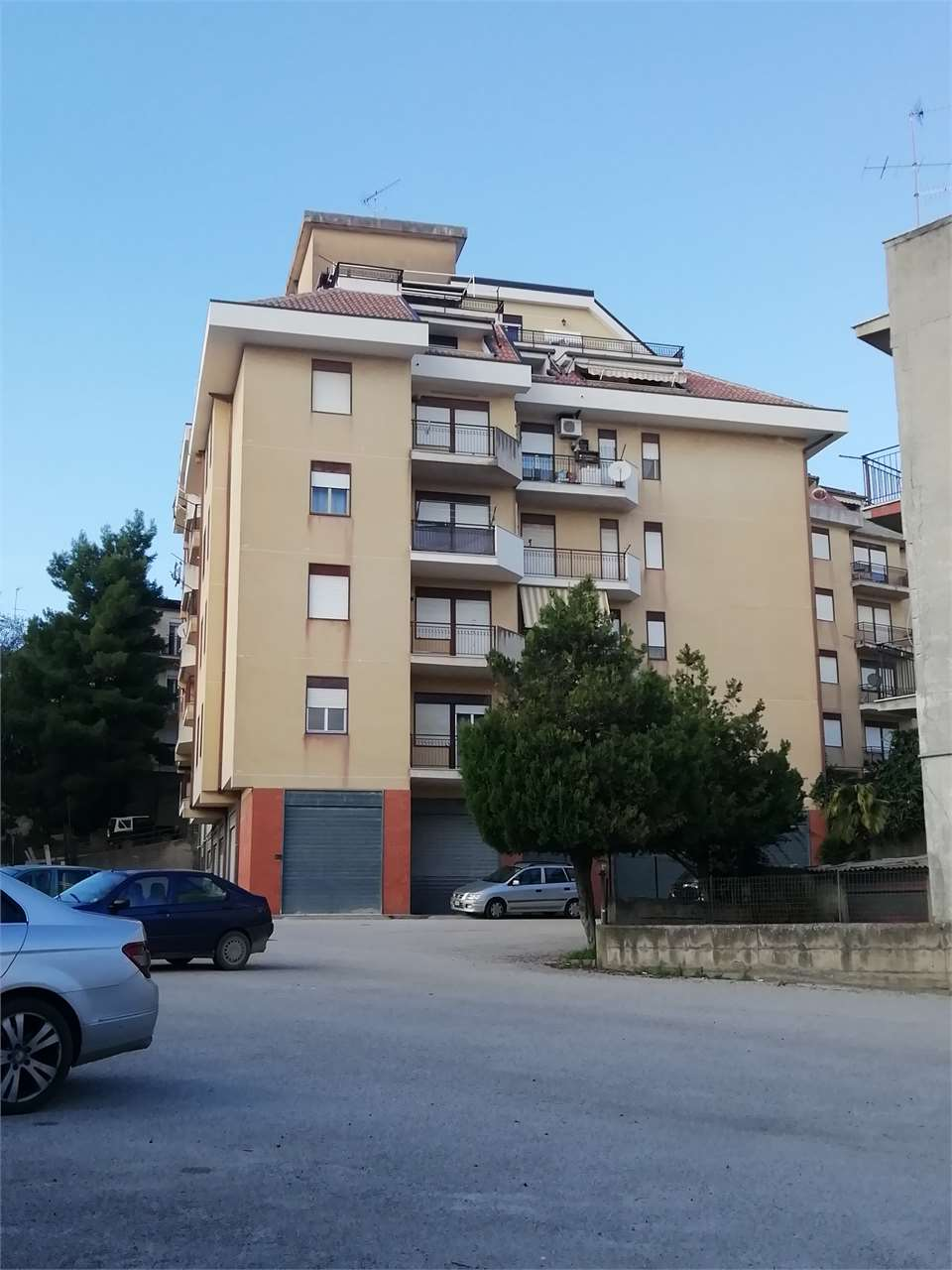 immagine annuncio 1 di 10