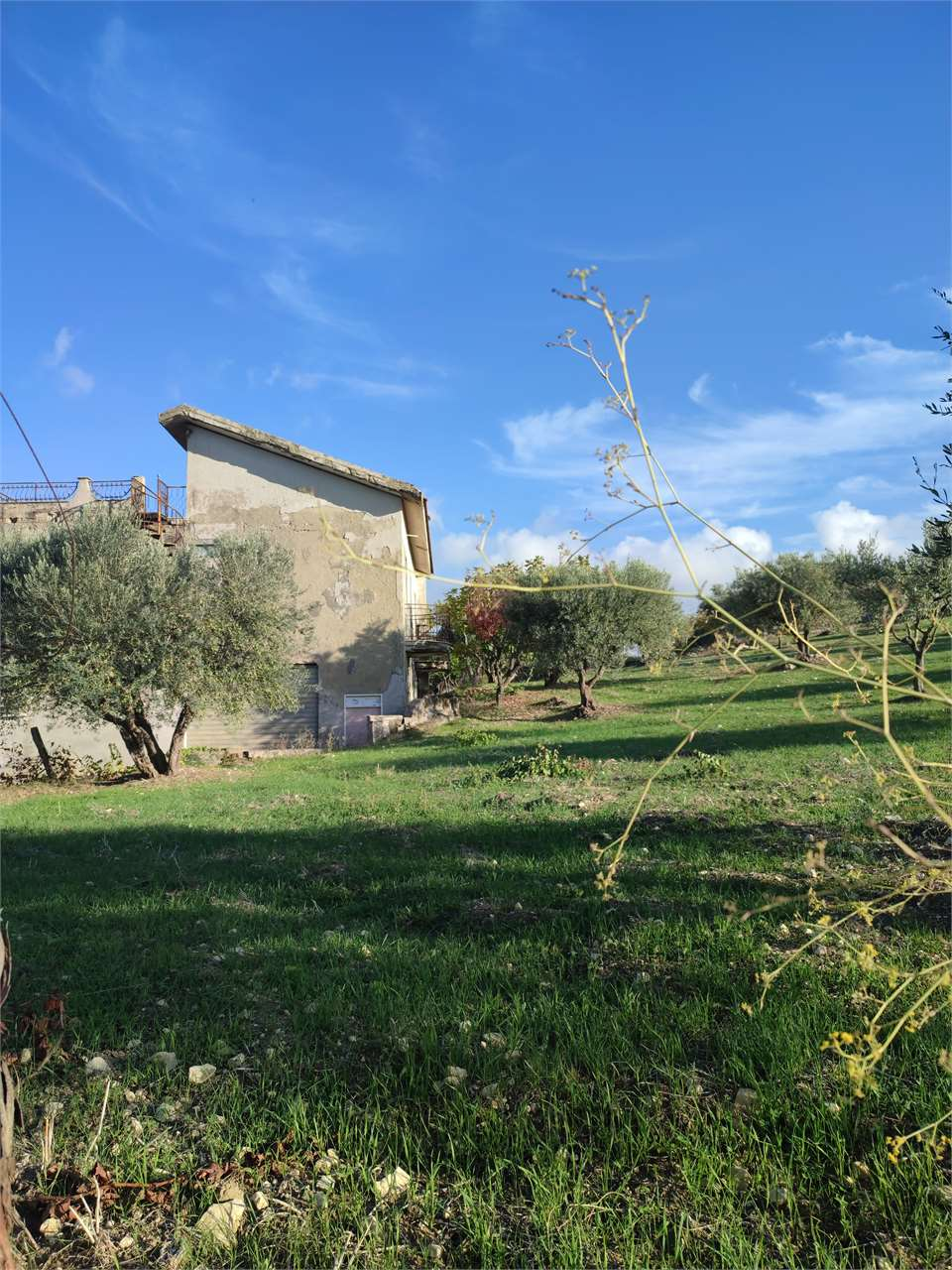 immagine annuncio 2 di 9