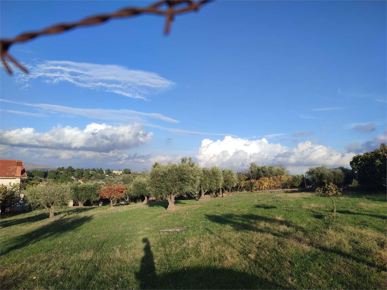 immagine annuncio 1 di 9