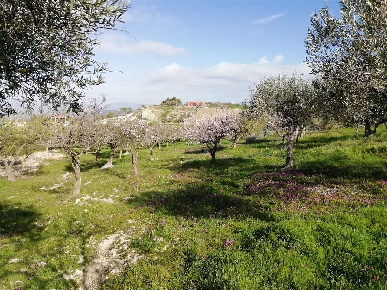 terreno edificabile in vendita a San Cataldo