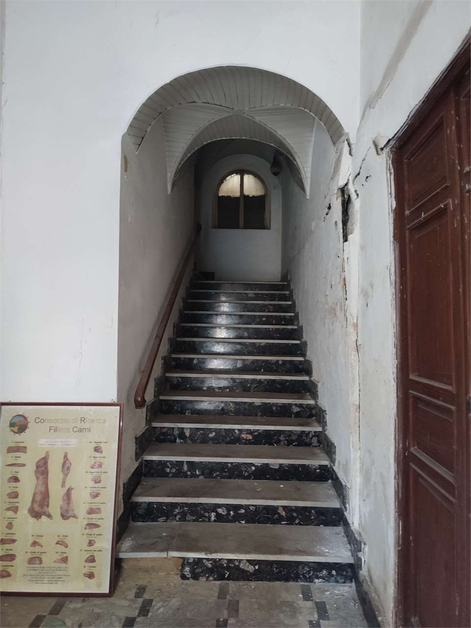 immagine annuncio 4 di 6